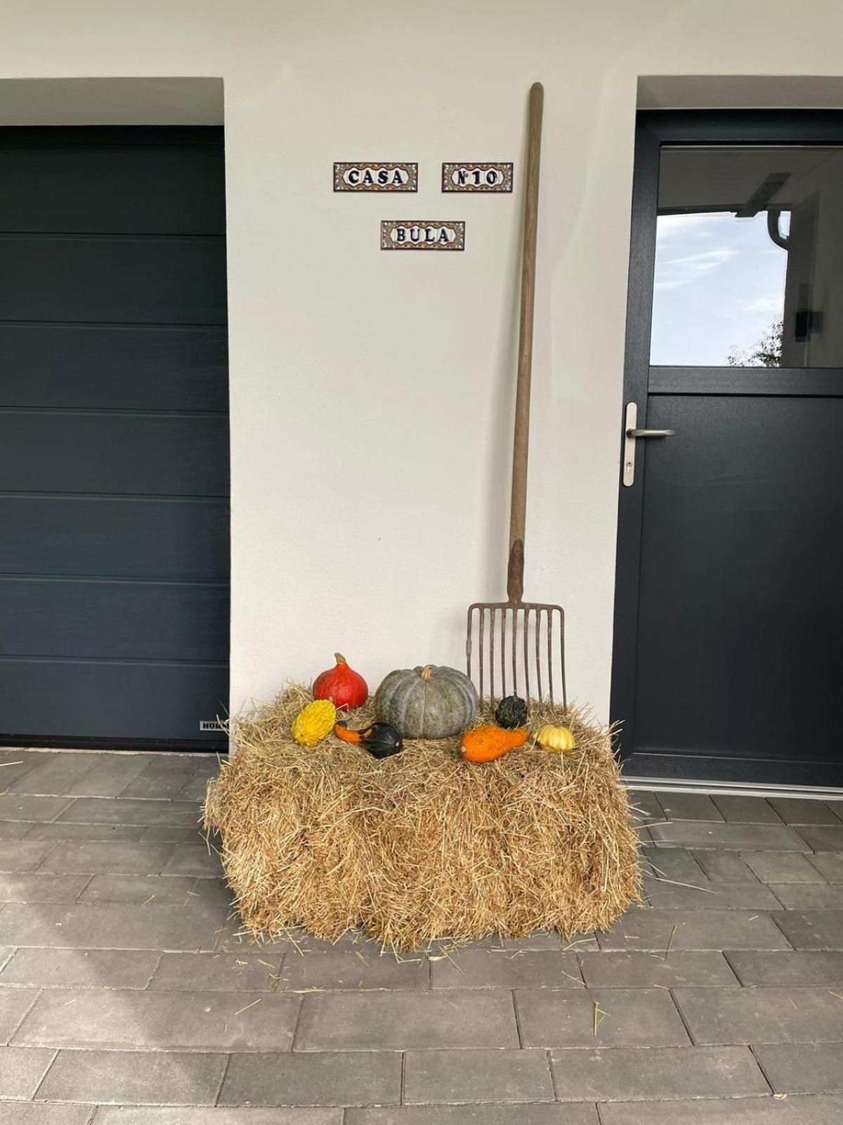 Ferienwohnung Lok-In Altenbeken Exterior foto